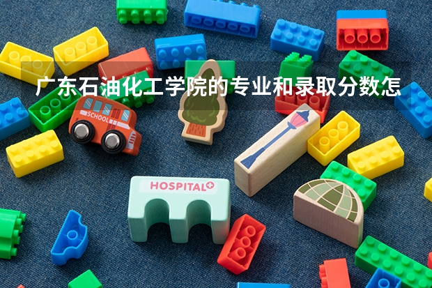 广东石油化工学院的专业和录取分数怎么样