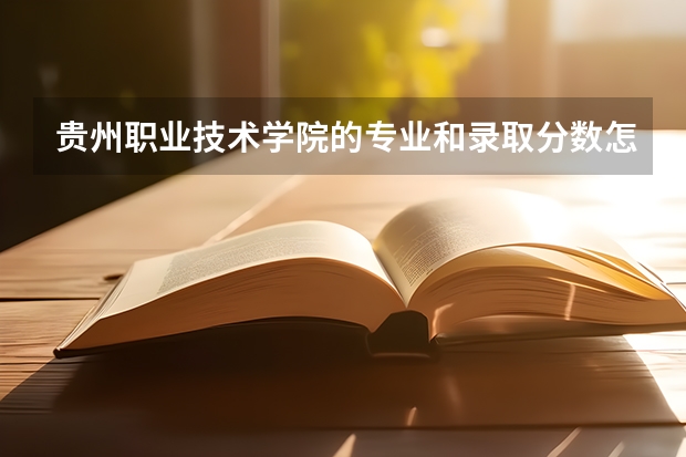 贵州职业技术学院的专业和录取分数怎么样