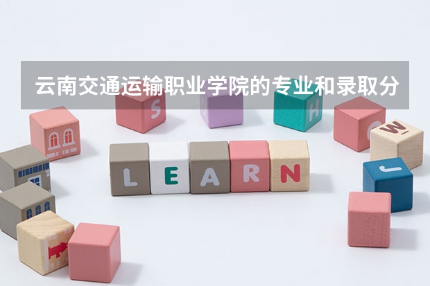 云南交通运输职业学院的专业和录取分数怎么样