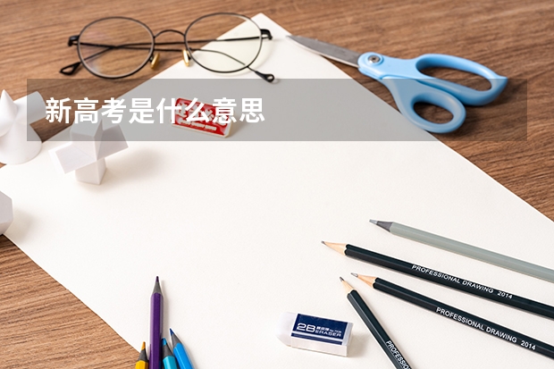 新高考是什么意思