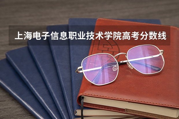 上海电子信息职业技术学院高考分数线划分标准是什么？（高考分数线）