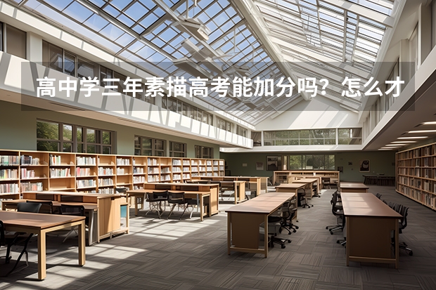 高中学三年素描高考能加分吗？怎么才算特长？