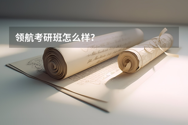 领航考研班怎么样?