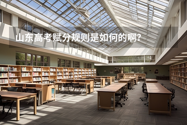 山东高考赋分规则是如何的啊？