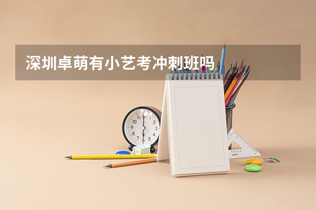 深圳卓萌有小艺考冲刺班吗