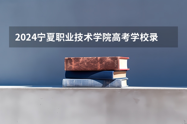 2024宁夏职业技术学院高考学校录取分数线是多少？
