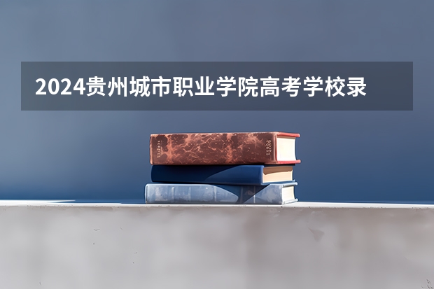 2024贵州城市职业学院高考学校录取分数线是多少？