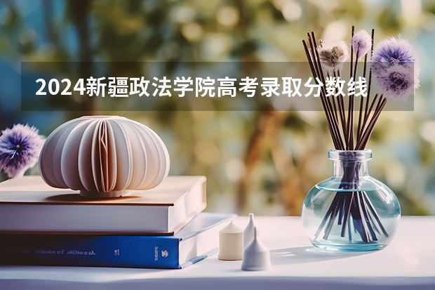 2024新疆政法学院高考录取分数线