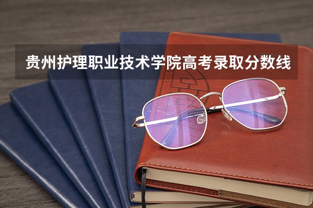 贵州护理职业技术学院高考录取分数线怎么算？