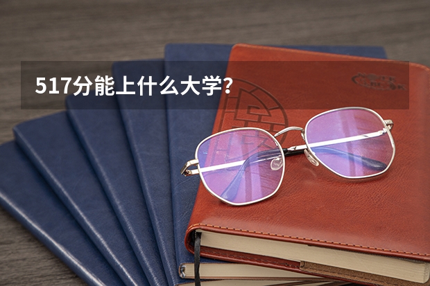 517分能上什么大学?