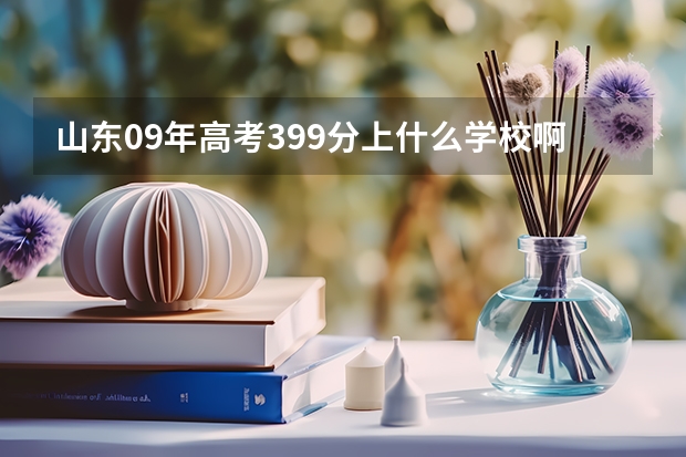 山东09年高考399分上什么学校啊