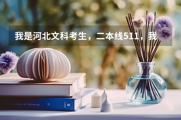 我是河北文科考生，二本线511，我分数为522，能上西南民族大学吗？那个