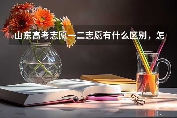 山东高考志愿一二志愿有什么区别，怎么报