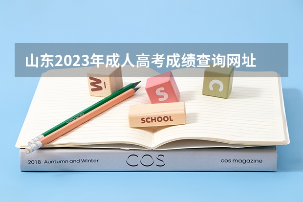 山东2023年成人高考成绩查询网址及入口是什么?