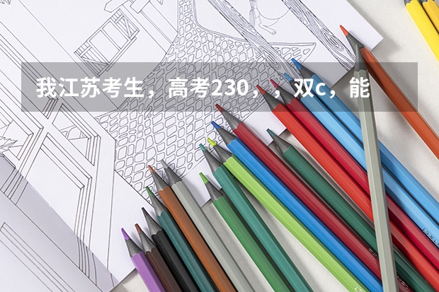 我江苏考生,高考230,,双c,能上什么学校·