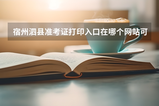 宿州泗县准考证打印入口在哪个网站可以找到？