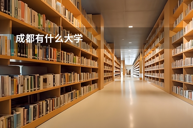 成都有什么大学
