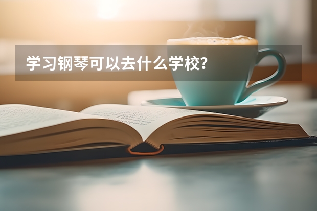 学习钢琴可以去什么学校?
