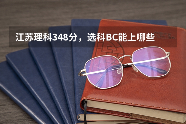 江苏理科348分,选科BC能上哪些本一大学(省内的