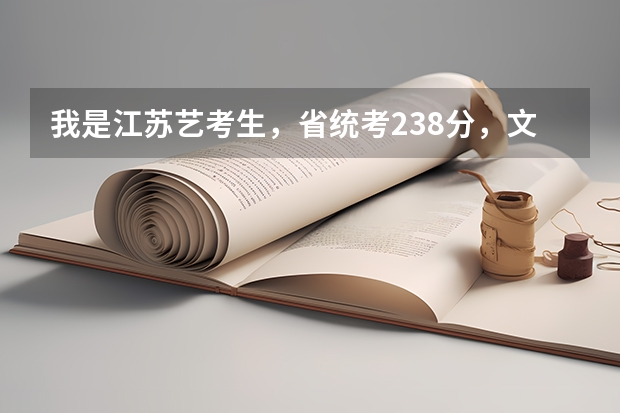 我是江苏艺考生,省统考238分,文化估计270分左右,没有参加省外单招,请问江苏省内哪些本科院校我有希望