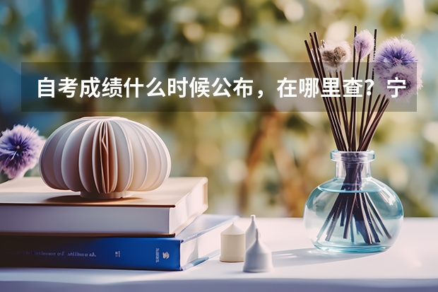 自考成绩什么时候公布,在哪里查?宁夏大专自考成绩查询?