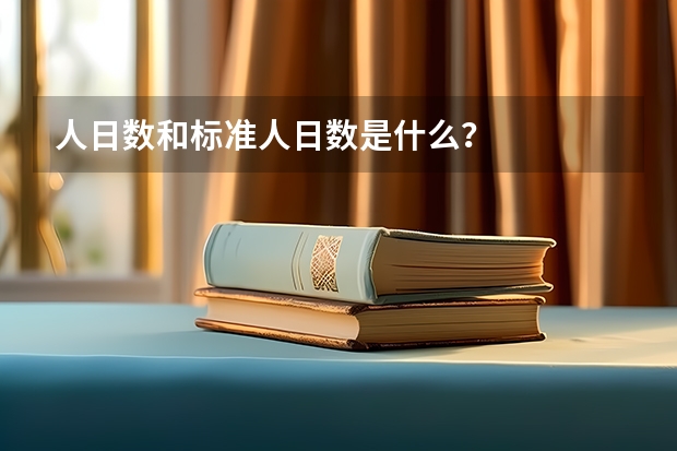 人日数和标准人日数是什么?