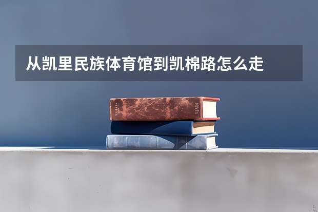 从凯里民族体育馆到凯棉路怎么走