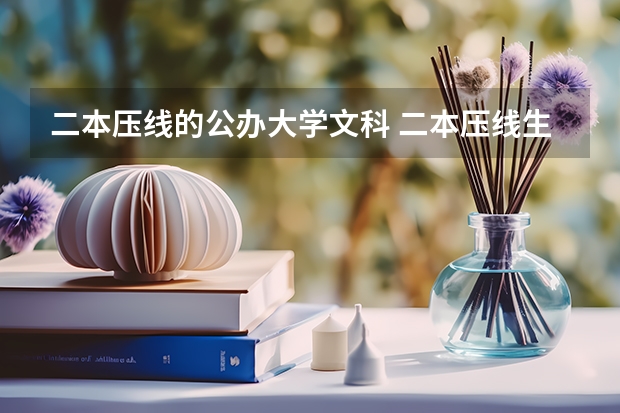 二本压线的公办大学文科 二本压线生的最佳选择