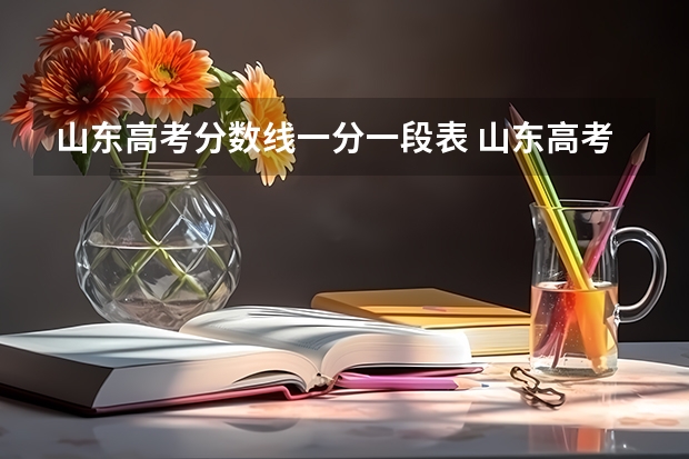 山东高考分数线一分一段表 山东高考分数线
