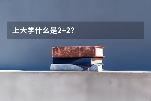 上大学什么是2+2?