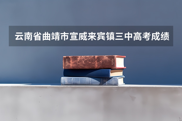 云南省曲靖市宣威来宾镇三中高考成绩王正翔成绩分数(曲靖经济技术开发区第一中学高考成绩)