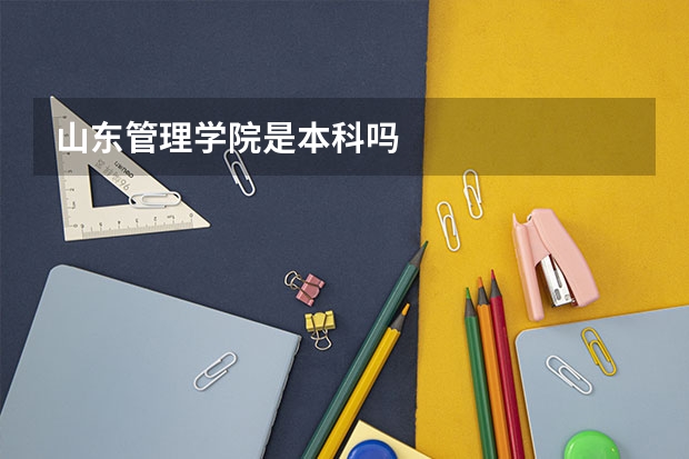 山东管理学院是本科吗