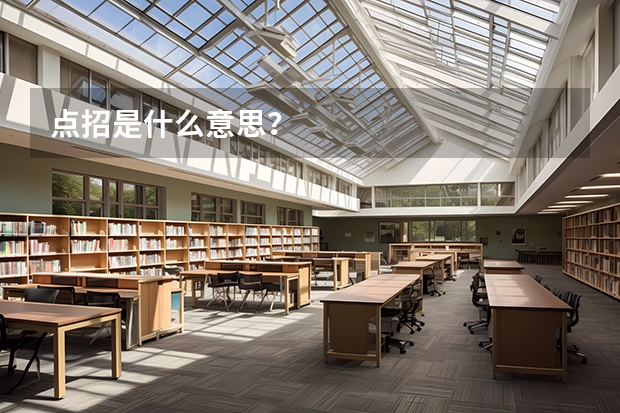 点招是什么意思?