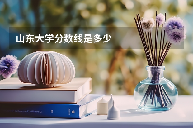山东大学分数线是多少