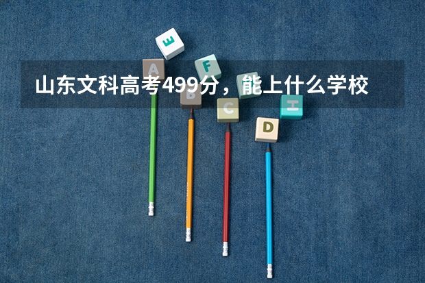 山东文科高考499分，能上什么学校呀？帮忙推荐个