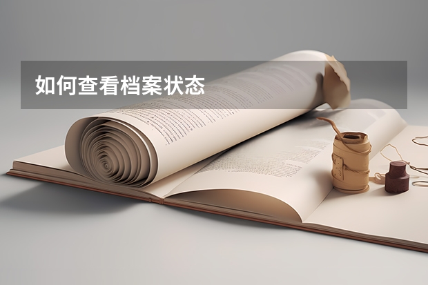 如何查看档案状态