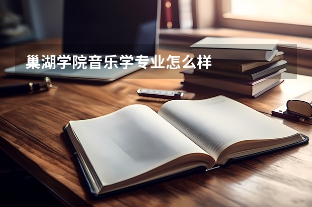 巢湖学院音乐学专业怎么样