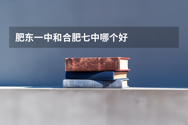 肥东一中和合肥七中哪个好