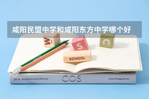 咸阳民盟中学和咸阳东方中学哪个好