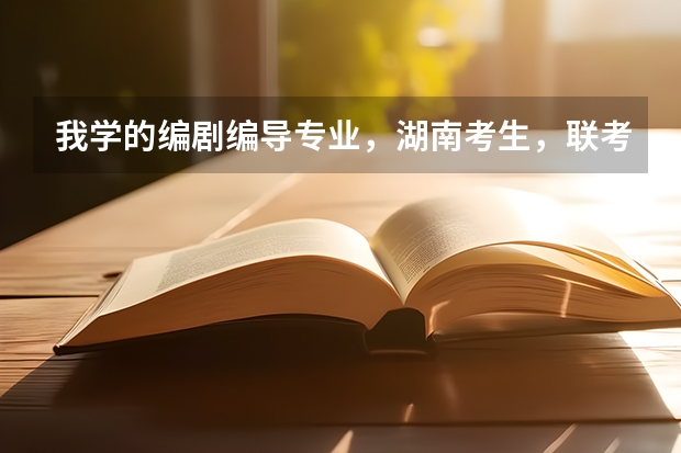 我学的编剧编导专业，湖南考生，联考没过，可能艺术校考也没学校过。文化四百多能考山西/上海什么学校？