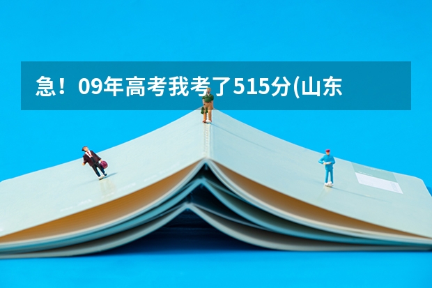 急！09年高考我考了515分(山东德州理科),上省内一专行吗,上什么院校好?我想学机算机系