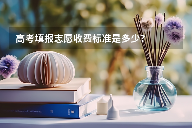 高考填报志愿收费标准是多少?