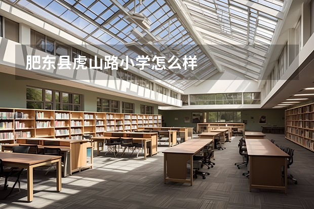 肥东县虎山路小学怎么样