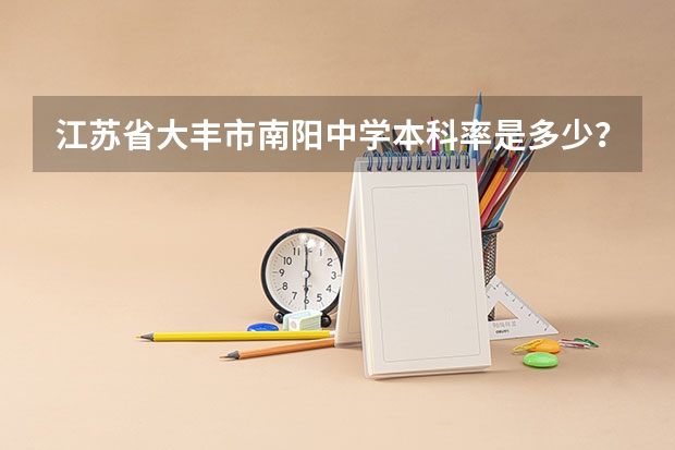 江苏省大丰市南阳中学本科率是多少?