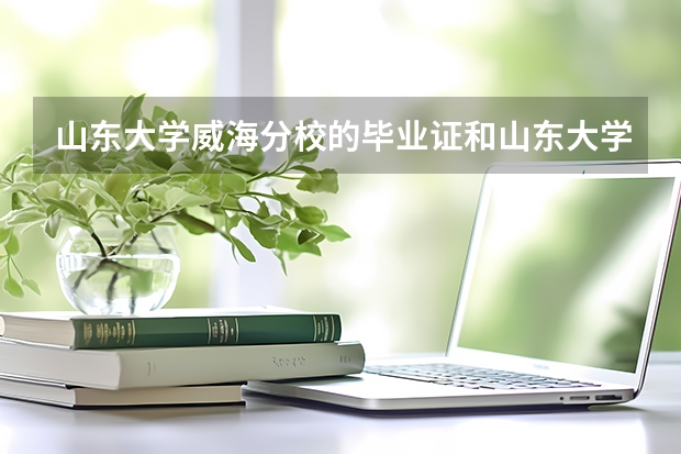 山东大学威海分校的毕业证和山东大学的一模一样吗?没有任何差别吗?