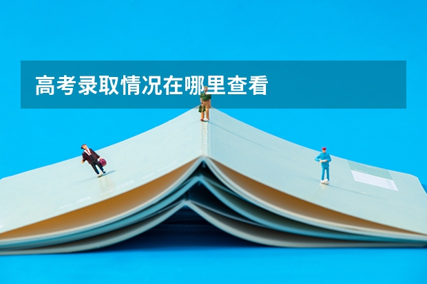高考录取情况在哪里查看