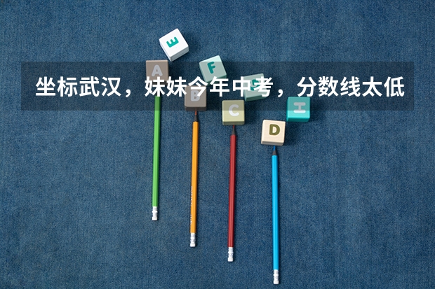 坐标武汉,妹妹今年中考,分数线太低,中职线都没过,有什么学校可以读吗?