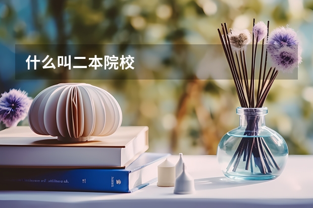 什么叫二本院校