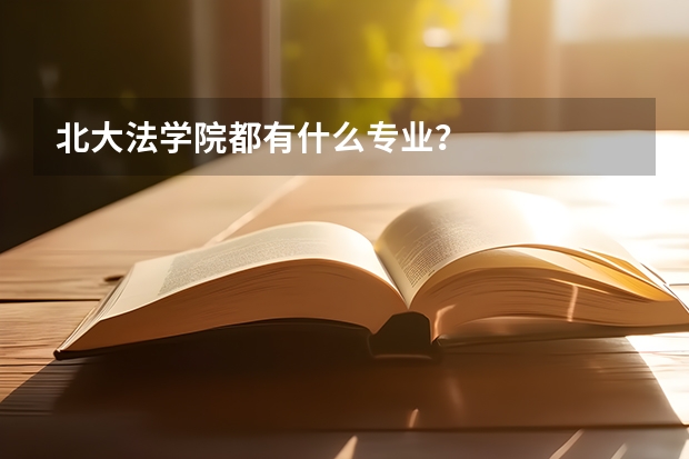 北大法学院都有什么专业?