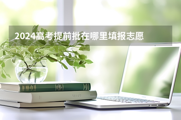 2024高考提前批在哪里填报志愿 有哪些填报技巧